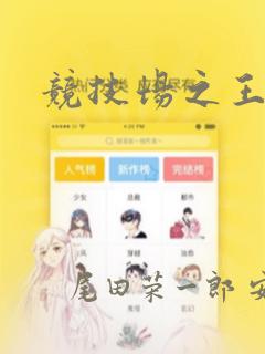 竞技场之王：结局+番外