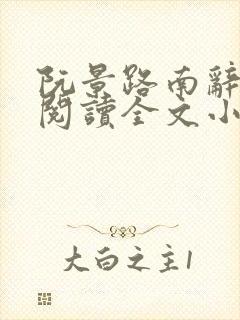 阮景路南辞免费阅读全文小说