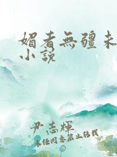 媚者无疆未删减小说