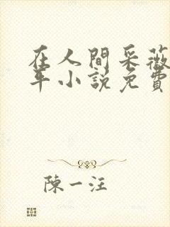 在人间采薇陆三平小说免费阅读