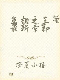 万相之王笔趣阁最新章节封面