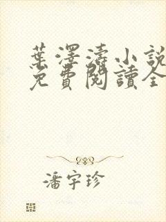 叶泽涛小说全文免费阅读全文封面