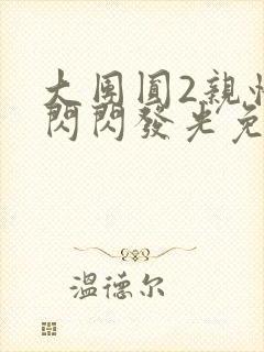 大团圆2亲情会闪闪发光免费