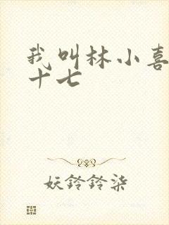 我叫林小喜今年十七