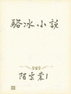 骆冰小说