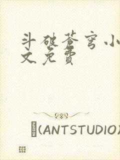 斗破苍穹小说全文免费封面