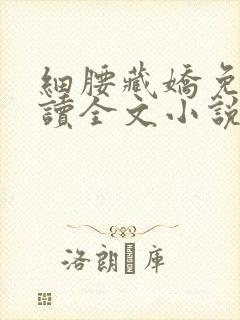 细腰藏娇免费阅读全文小说苏珞浅