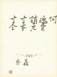 寸寸销魂何生祥全本免费