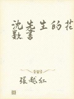 沈先生的花式调数书