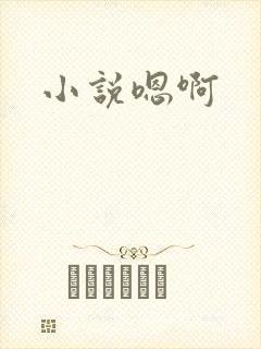 小说嗯啊