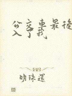 公交车最后一排入了我