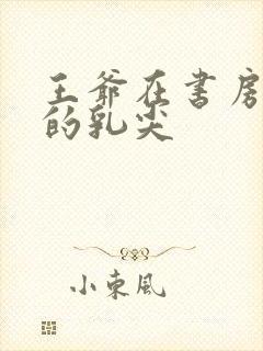 王爷在书房含她的乳尖