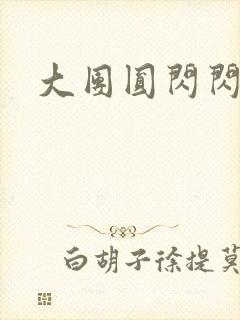 大团圆闪闪发光封面