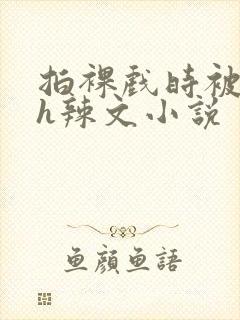 拍裸戏时被c了h辣文小说封面