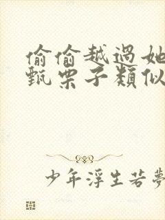 偷偷越过她by甄栗子类似小说