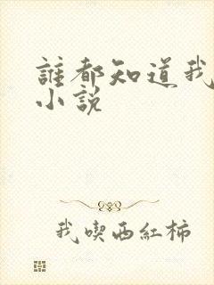 谁都知道我爱你小说