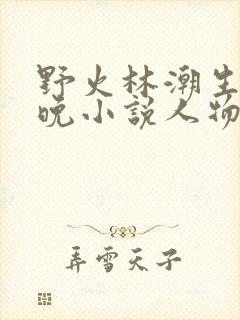 野火林潮生林晚晚小说人物野火