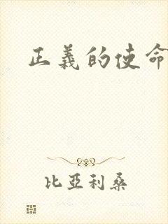 正义的使命小说