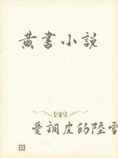 黄书小说
