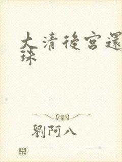 大清后宫还君明珠