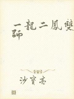 一龙二凤双飞老师