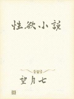 性欲小说
