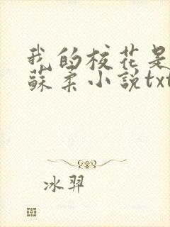 我的校花是福姬苏柔小说txt