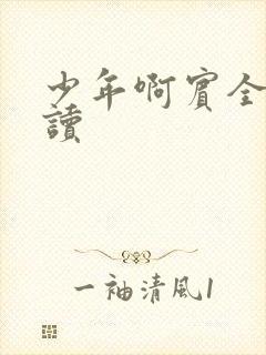 少年啊宾全文阅读封面