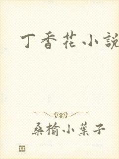 丁香花小说