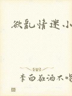 欲乱情迷小说