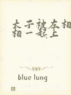 太子被左相和右相一起上