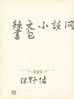 辣文小说网第二书包