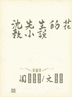 沈先生的花式管教小说