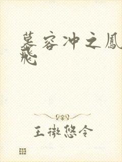 慕容冲之凤凰于飞封面