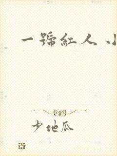 一号红人 小说