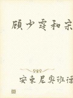 顾少霆和宋斯曼