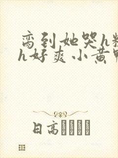 脔到她哭h粗话h好爽小黄鸭封面