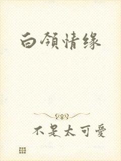 白领情缘