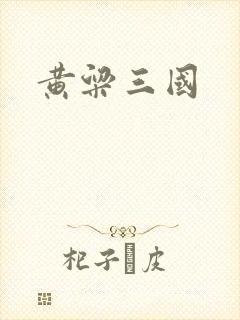 黄粱三国封面