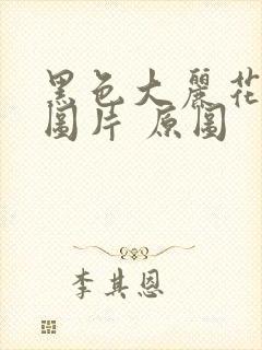 黑色大丽花真实图片 原图