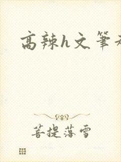 高辣h文笔趣阁