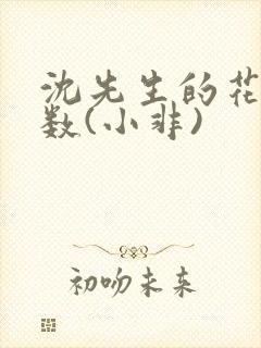 沈先生的花式调数(小非)