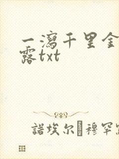 一泻千里金银花露txt