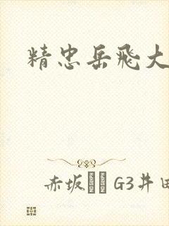 精忠岳飞大结局