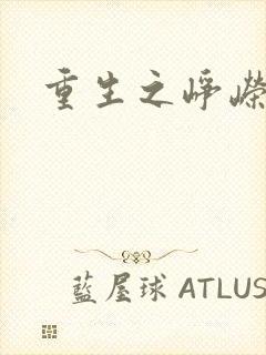 重生之峥嵘封面