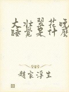 大壮翠花晚上不睡觉是什么电视剧