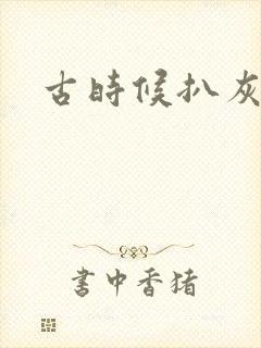古时候扒灰小说