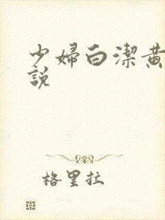 少妇白洁黄色小说