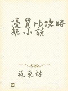 优质rb攻略系统小说