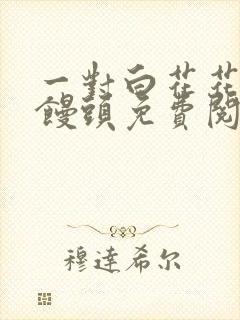 一对白花花的大馒头免费阅读封面